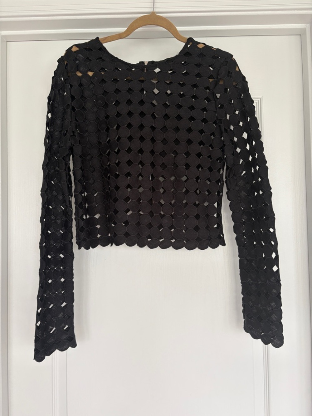 Black Sheer Crop Top